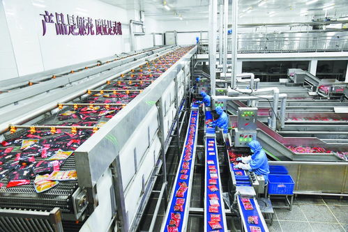 石家庄味道闯市场 铜陵名流超市的融合与创新