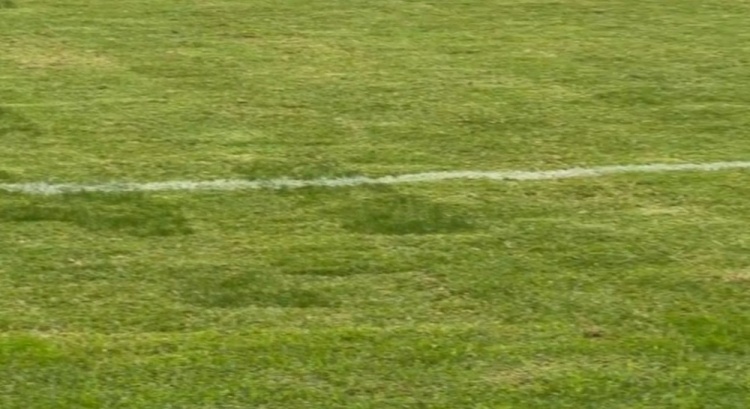 浙江主场草皮状况堪忧 国安客战前遭遇场地争议