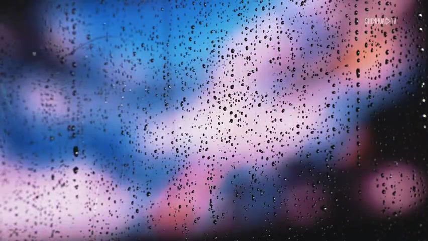 申花2-0海牛取四连胜 路易斯传射米内罗破门