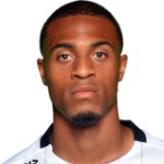 丹泽尔·伯格佐格