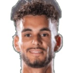 范登凯尔克霍夫